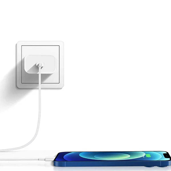 iPhone 20W Rapid Charging Adapter